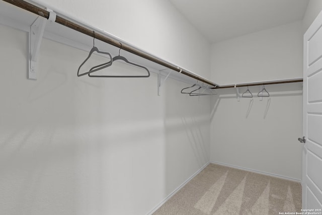 walk in closet with light carpet