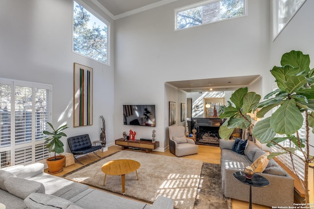 living room featuring a high ceiling, wood-type flooring, a healthy amount of sunlight, and ornamental molding