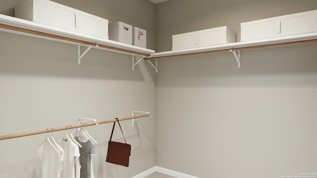 walk in closet with carpet