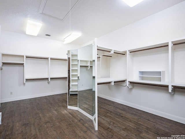 spacious closet with dark wood-type flooring