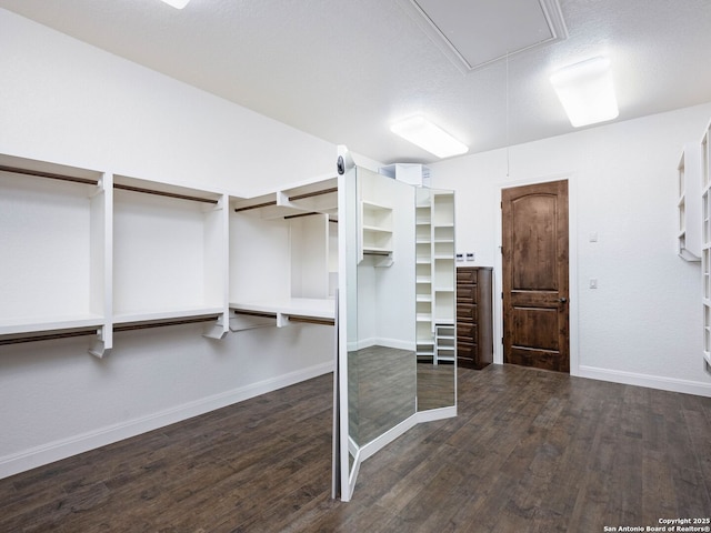 spacious closet featuring dark hardwood / wood-style floors