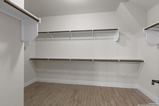 walk in closet featuring hardwood / wood-style flooring