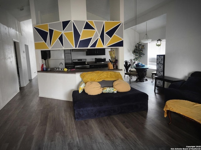 living room featuring sink and dark wood-type flooring