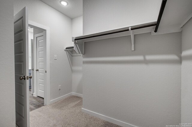 walk in closet featuring carpet flooring