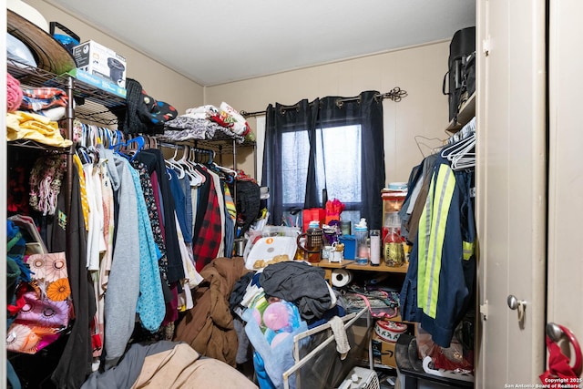 view of spacious closet