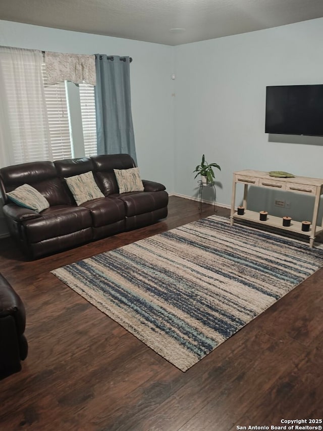 living room with hardwood / wood-style flooring