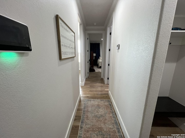 hallway with crown molding and hardwood / wood-style floors