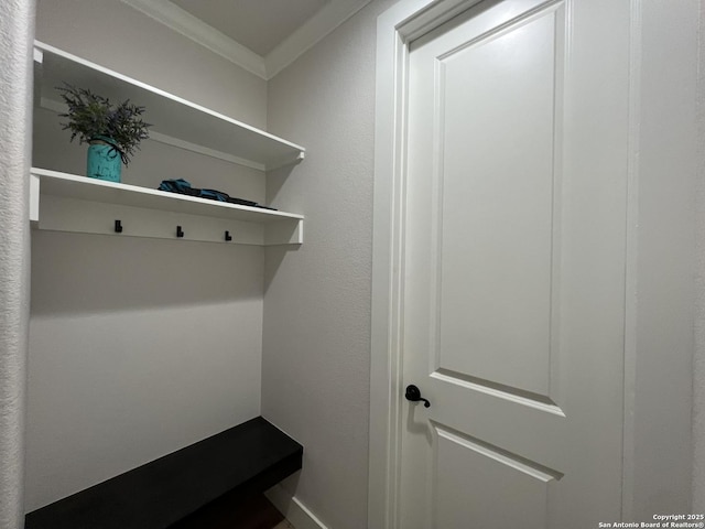 mudroom with ornamental molding