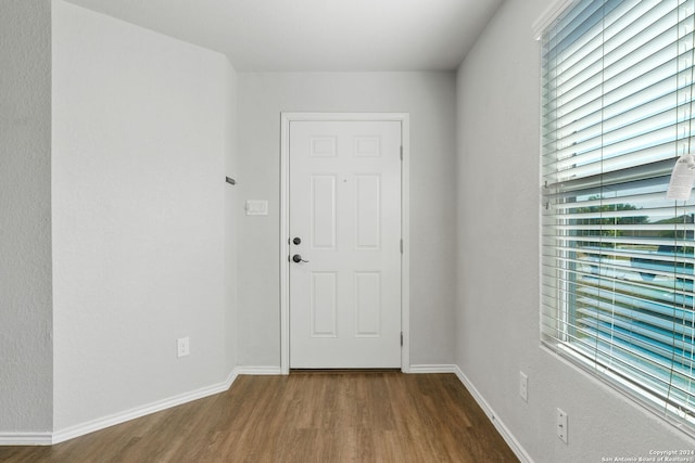 doorway with wood-type flooring and a wealth of natural light