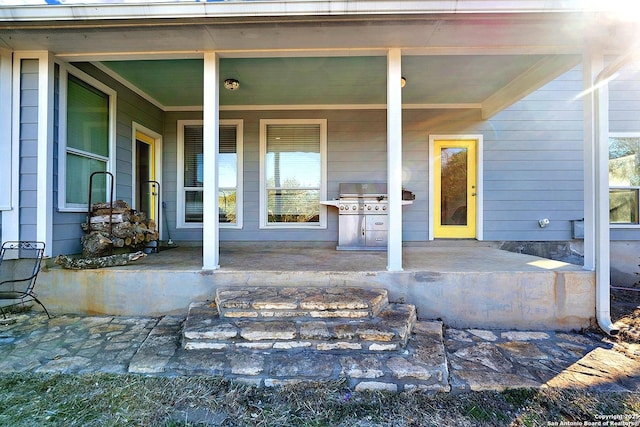 view of exterior entry with a patio