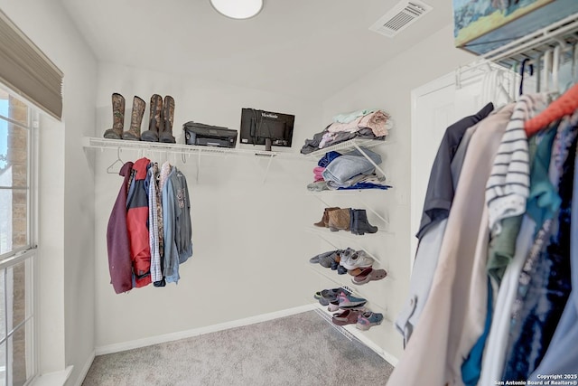 walk in closet featuring carpet flooring