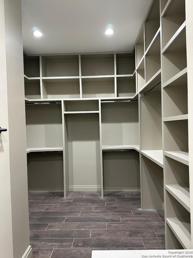 view of walk in closet