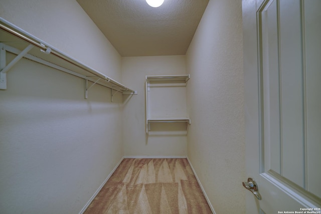 spacious closet featuring light carpet