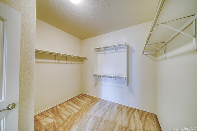 walk in closet featuring vaulted ceiling and carpet floors