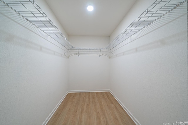 spacious closet featuring light wood-type flooring