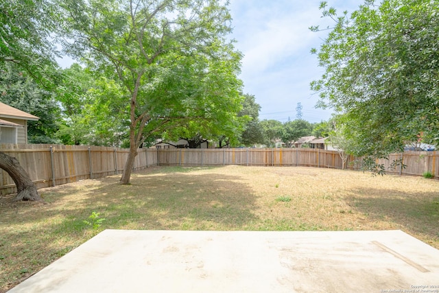 view of yard featuring a patio area