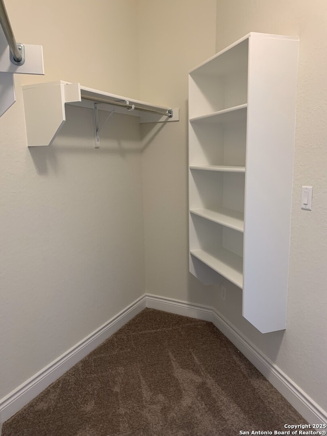 walk in closet with dark colored carpet