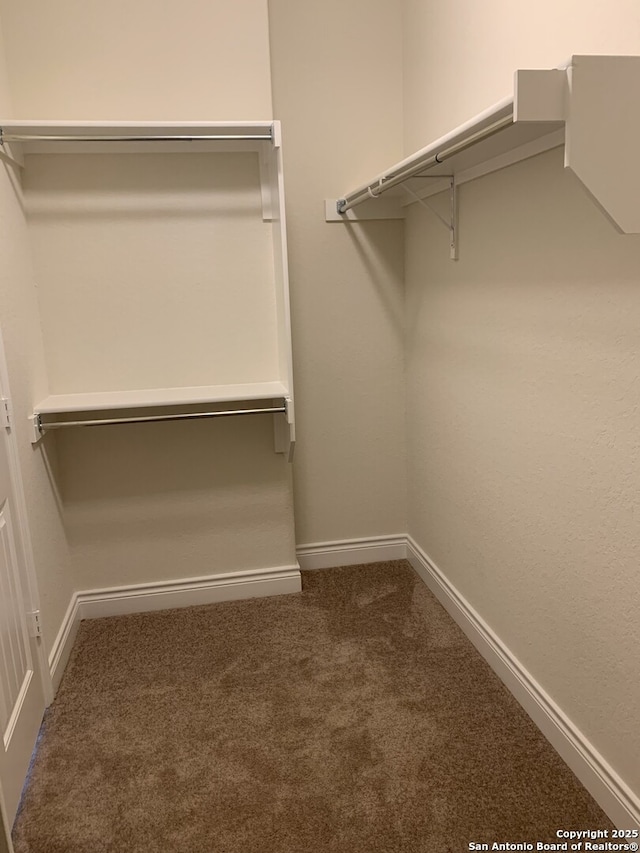 walk in closet featuring dark colored carpet