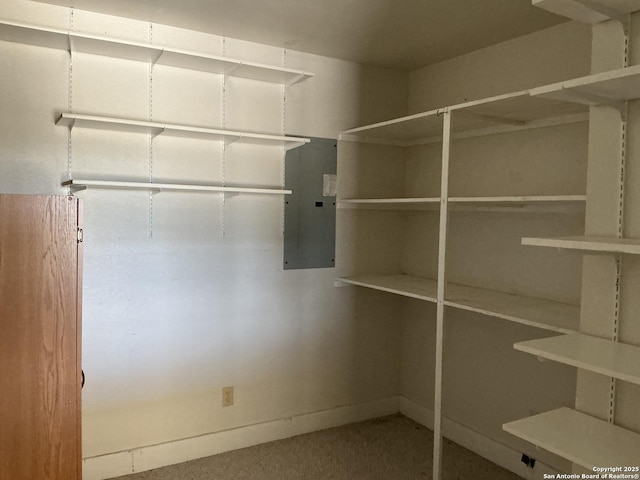 pantry with electric panel