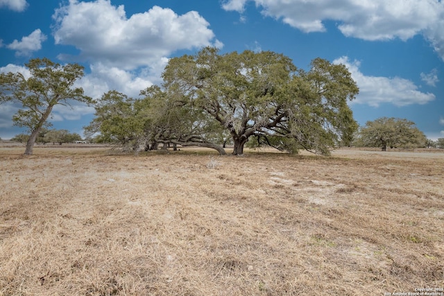 view of nature featuring a rural view