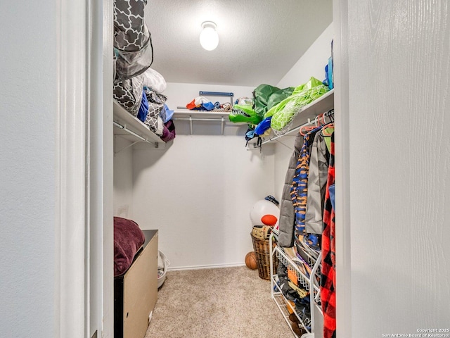 walk in closet with light carpet