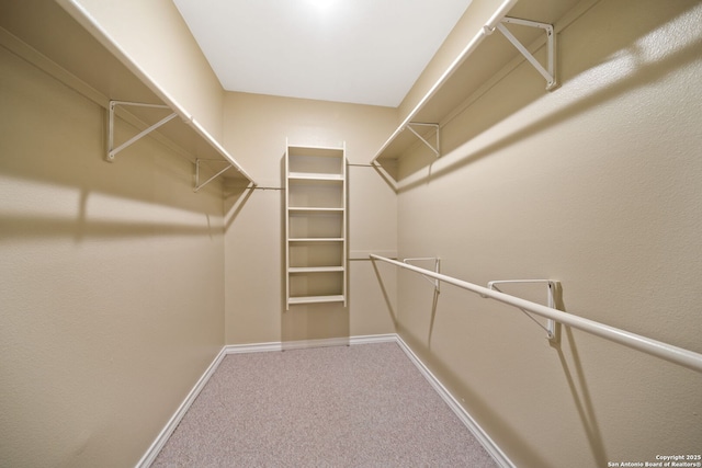 walk in closet featuring carpet floors