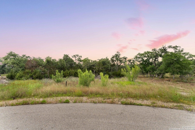 287 Brook Cyn, New Braunfels TX, 78132 land for sale