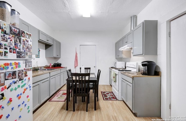 kitchen with sink, white appliances, gray cabinets, a textured ceiling, and light wood-type flooring