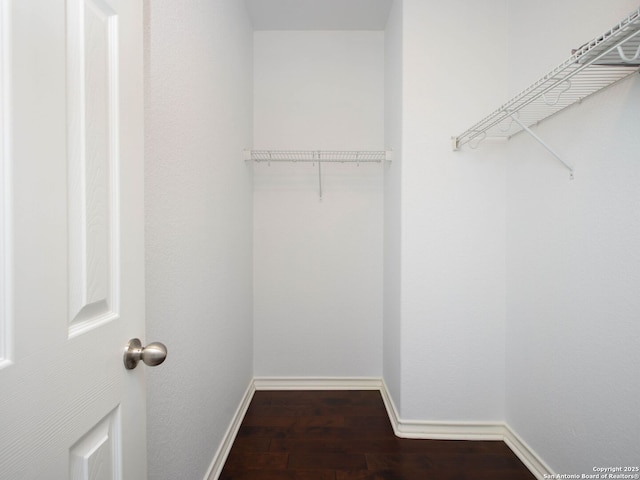 spacious closet featuring dark hardwood / wood-style flooring