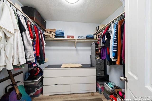 walk in closet with light hardwood / wood-style flooring