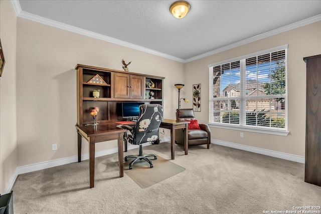 carpeted home office with ornamental molding