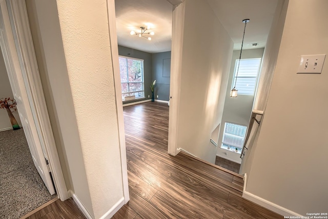 hallway featuring hardwood / wood-style flooring