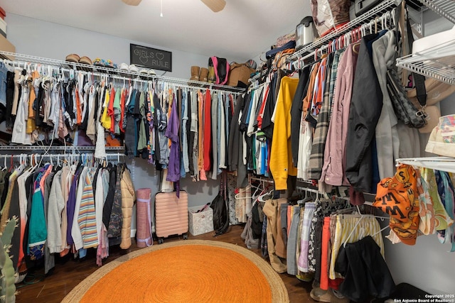 walk in closet with ceiling fan and dark hardwood / wood-style flooring