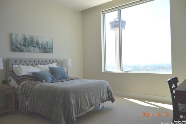 bedroom featuring carpet and multiple windows