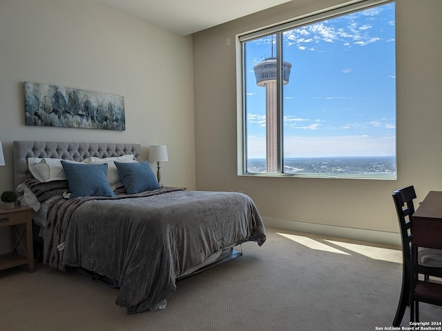 bedroom featuring a water view and carpet flooring