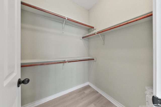 spacious closet featuring light wood-type flooring