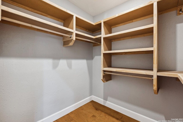 walk in closet with hardwood / wood-style floors