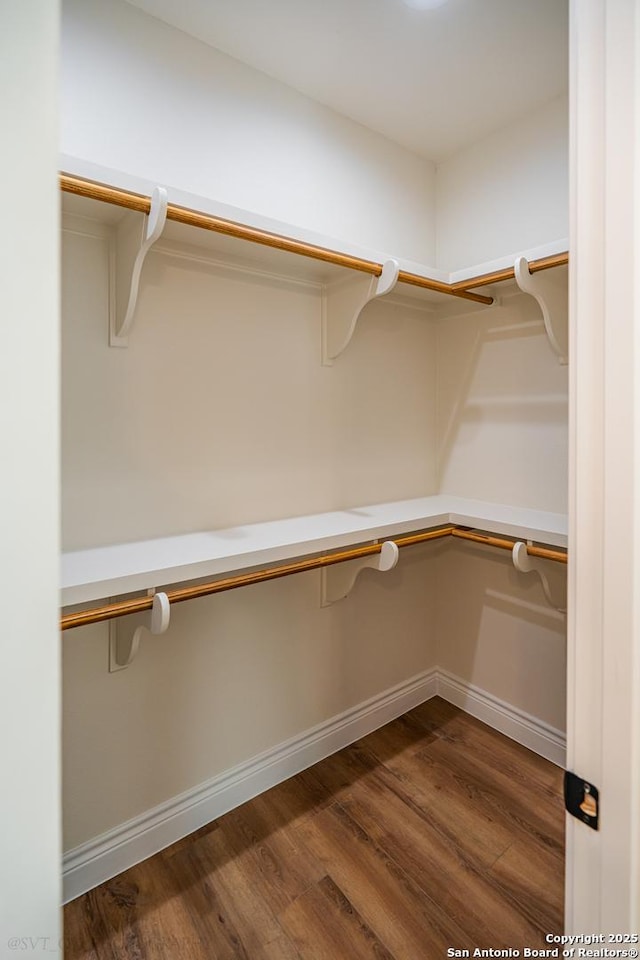 walk in closet with dark hardwood / wood-style floors and built in desk