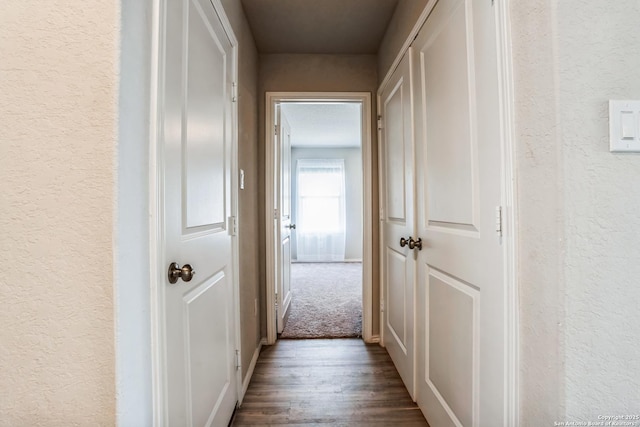 hallway featuring dark carpet