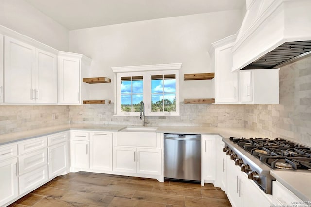 kitchen featuring white cabinetry, sink, stainless steel appliances, and premium range hood