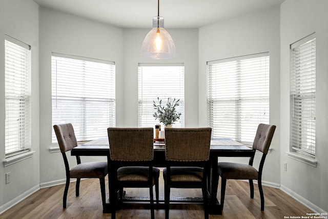 dining area with hardwood / wood-style flooring and plenty of natural light