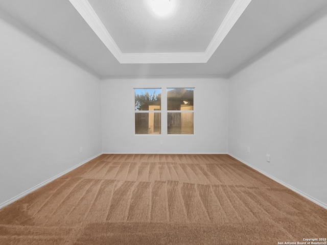 spare room featuring crown molding, a raised ceiling, carpet, and a textured ceiling