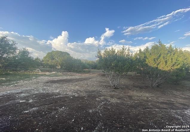 view of local wilderness with a rural view