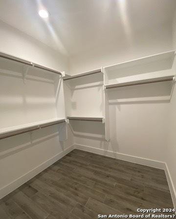 walk in closet with dark wood-type flooring