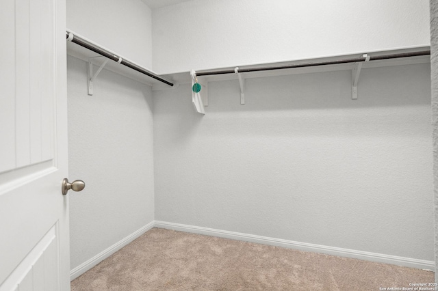 walk in closet with light carpet