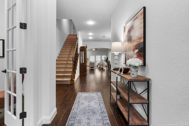 foyer entrance featuring dark wood-type flooring