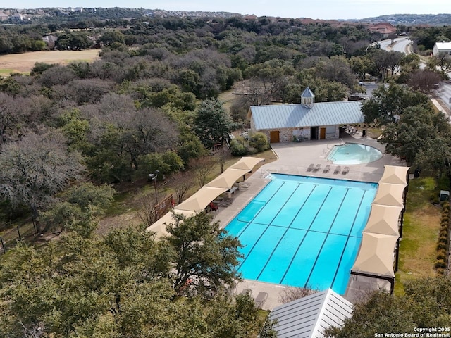 view of pool featuring a patio