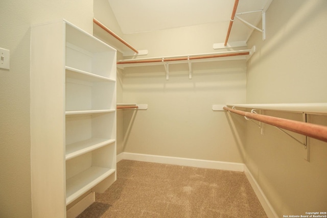 walk in closet with carpet