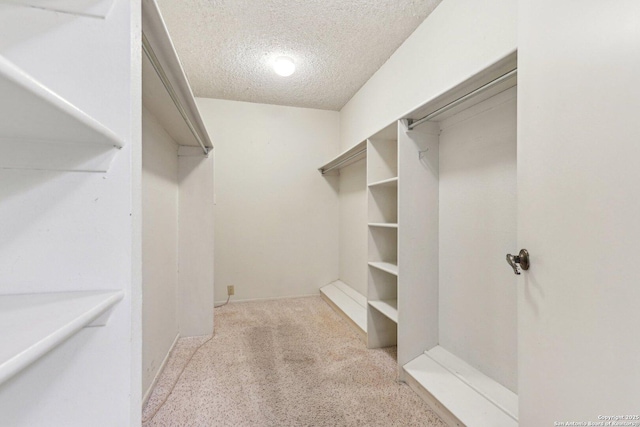 spacious closet with light colored carpet