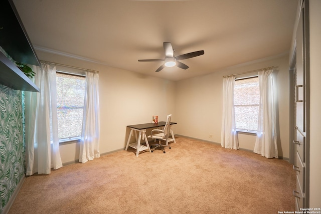 home office with light colored carpet and ceiling fan